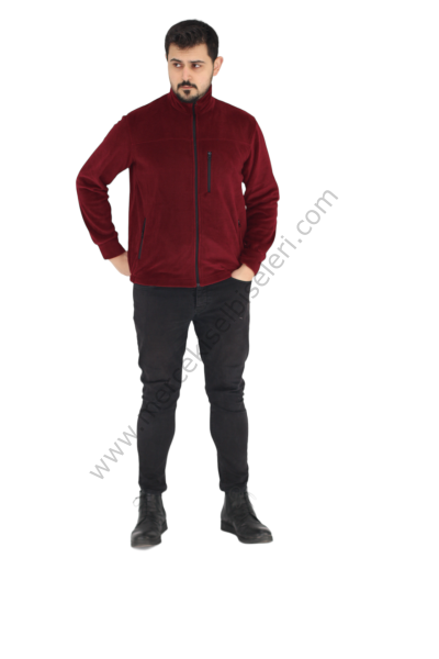 Bordo Polar Mont