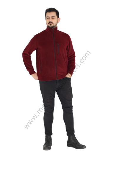 Bordo Polar Mont